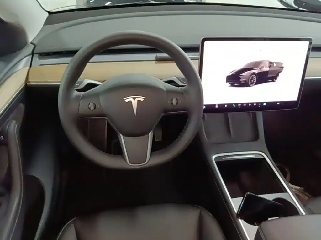 Tesla Model Y — миниатюра 11