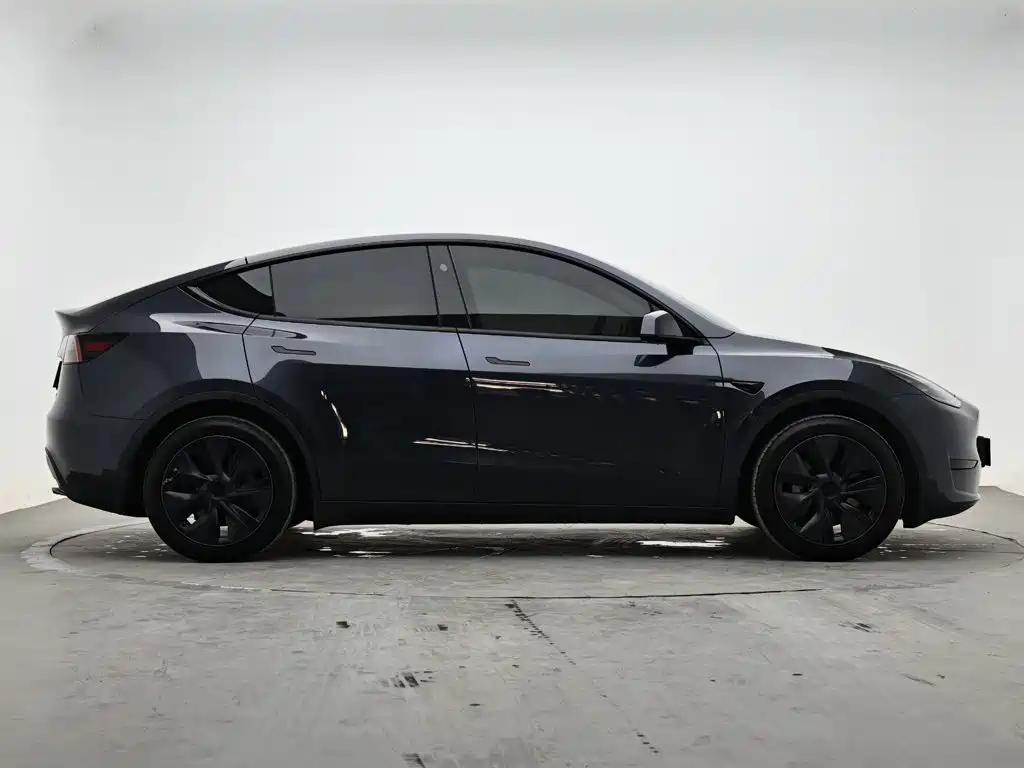 Tesla Model Y — миниатюра 5
