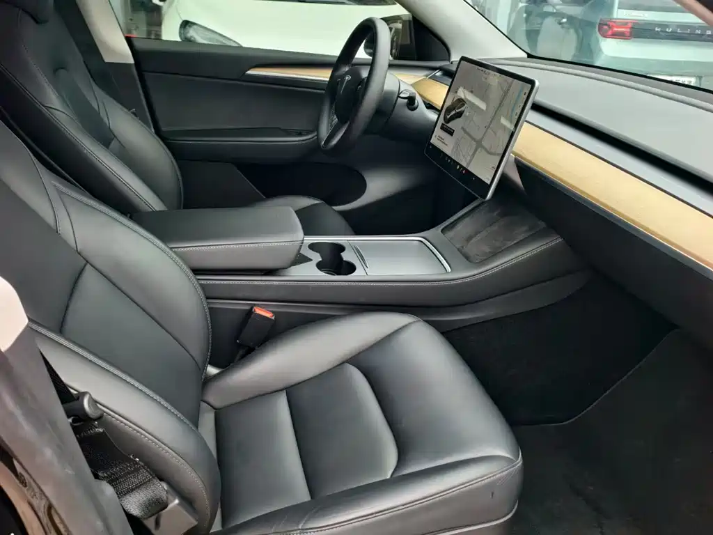 Tesla Model Y — миниатюра 9