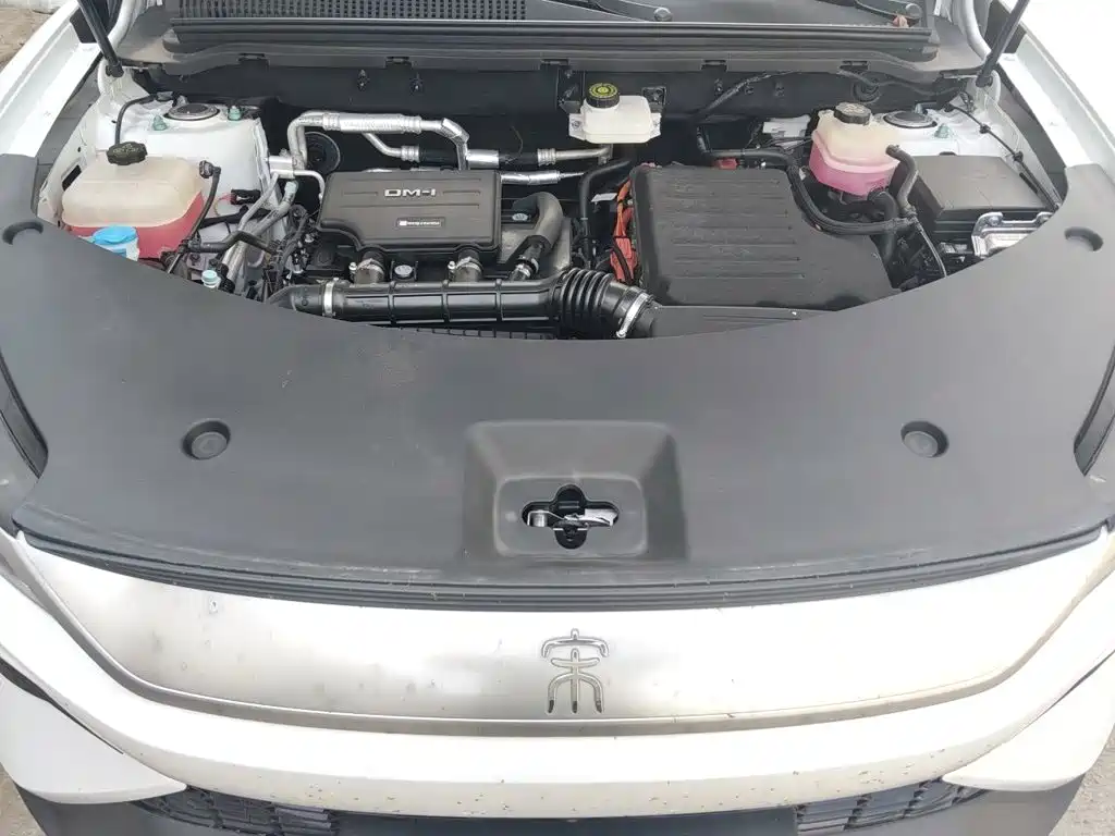 BYD Pro New Energy — миниатюра 11