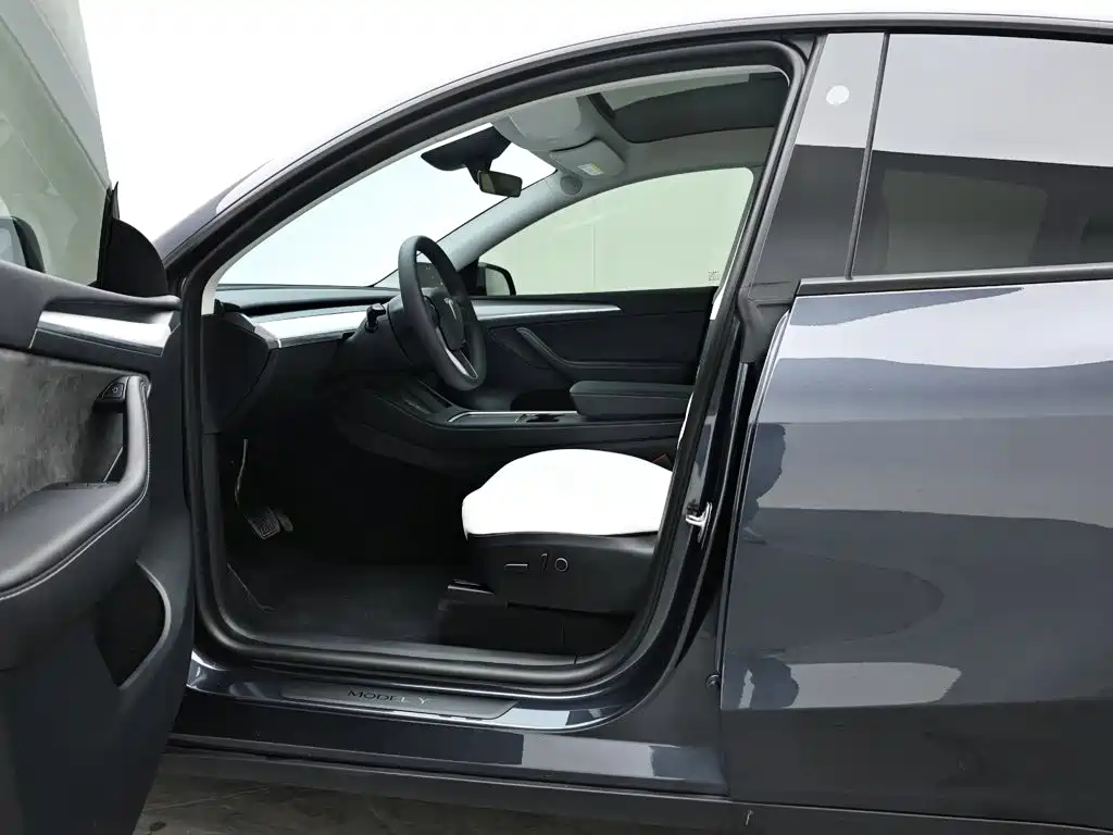 Tesla Model Y — миниатюра 10