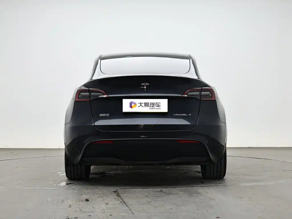 Tesla Model Y — миниатюра 4