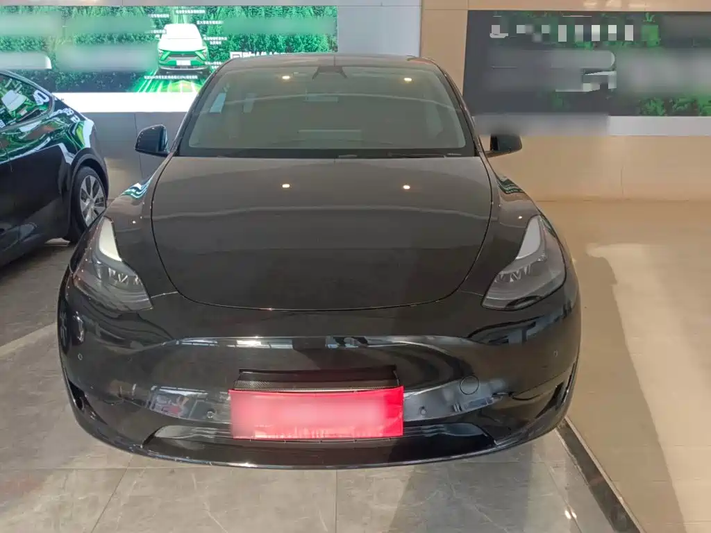 Tesla Model Y — миниатюра 3