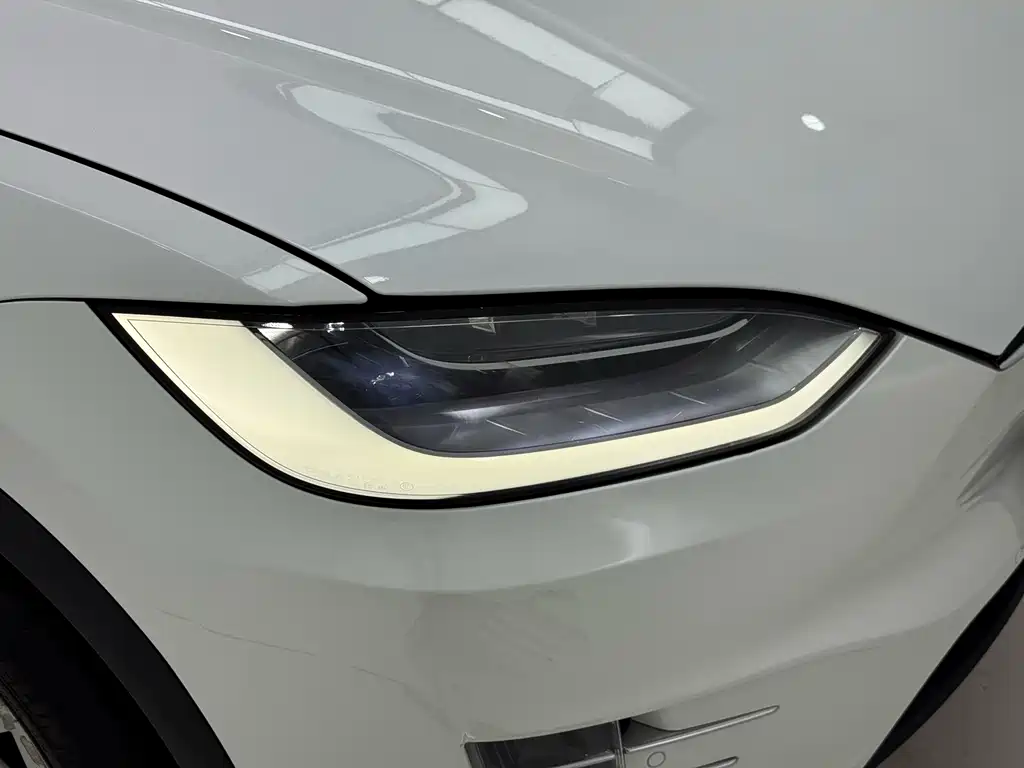 Tesla Model X — миниатюра 27