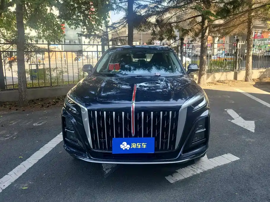 Hongqi Hongqi HS3 — миниатюра 2