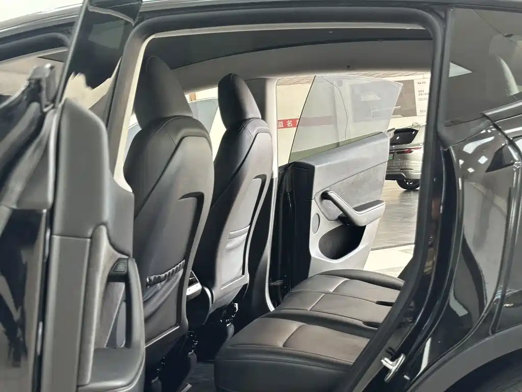 Tesla Model Y — миниатюра 9