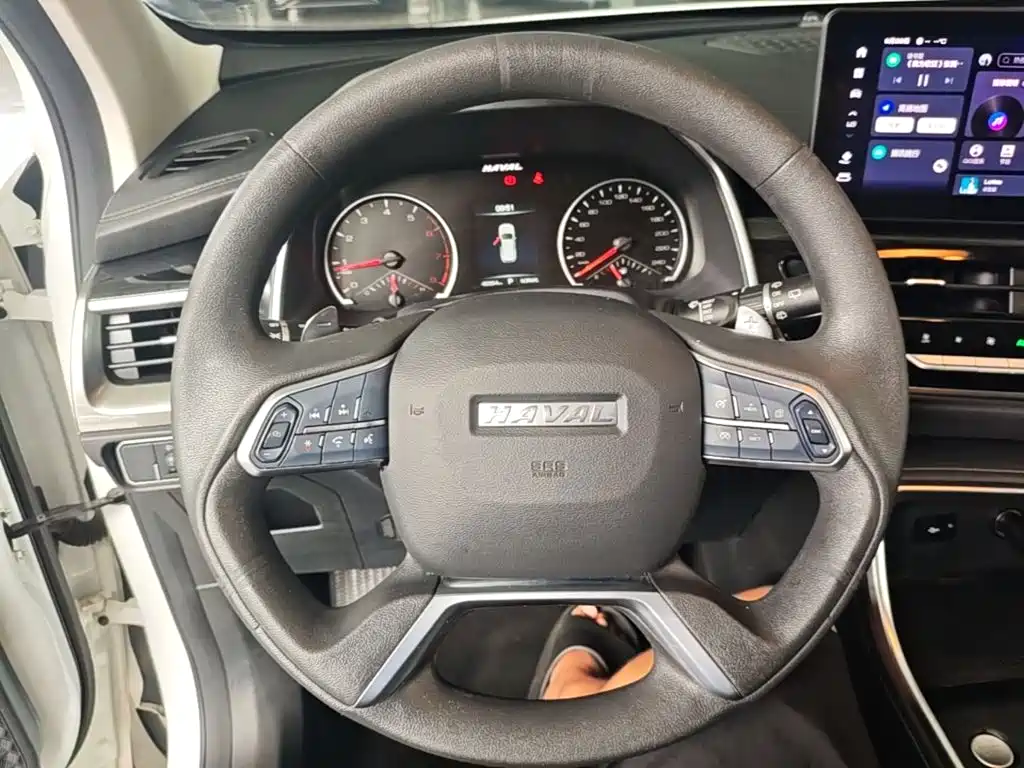 Haval H6 — миниатюра 11