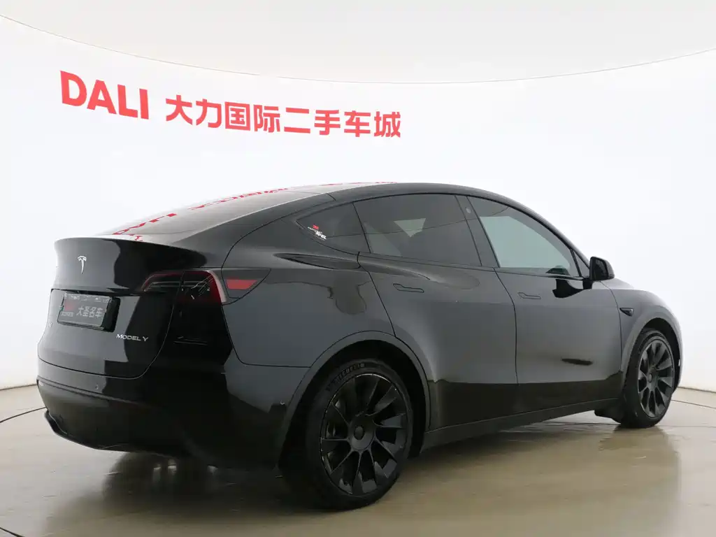 Tesla Model Y — миниатюра 13