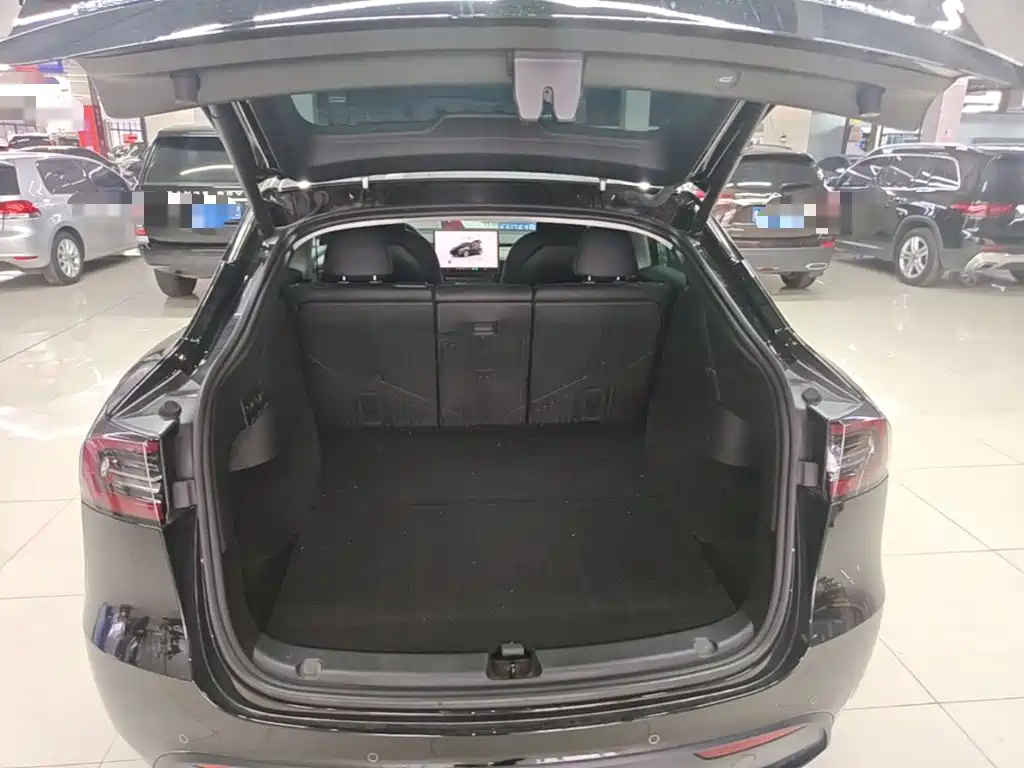 Tesla Model Y — миниатюра 19