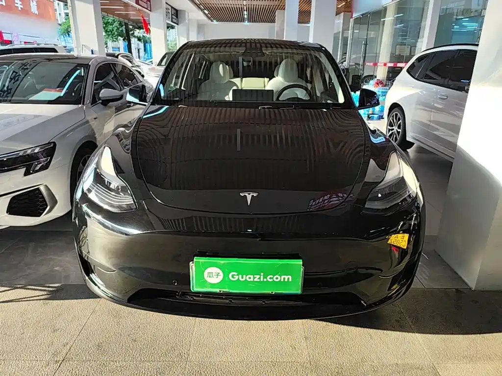 Tesla Model Y — миниатюра 3