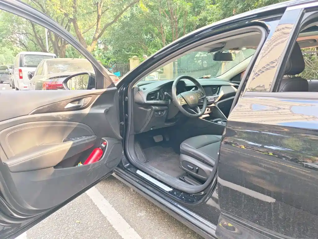 Buick Regal — миниатюра 12