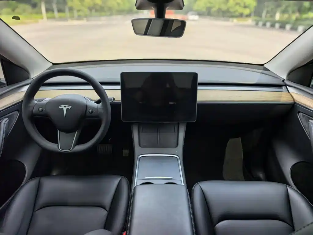 Tesla Model Y — миниатюра 10