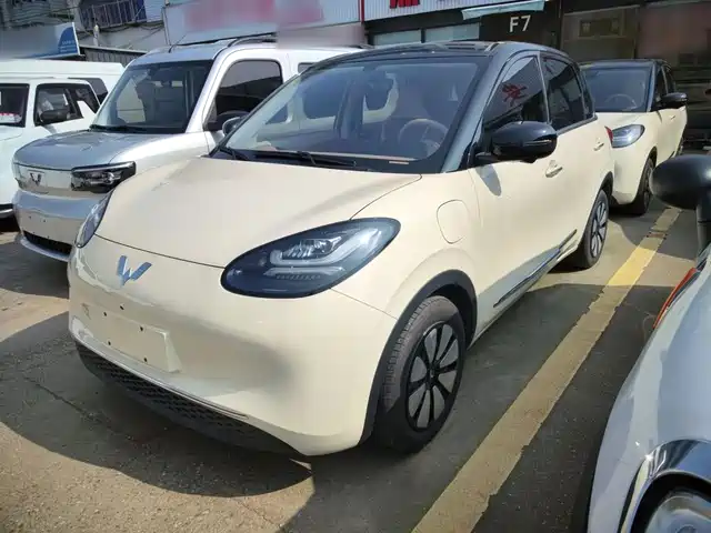 2025 Wuling Motors Binguo