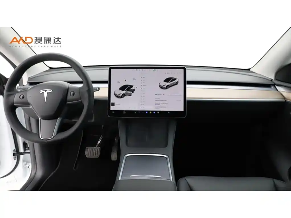 Tesla Model Y — миниатюра 5