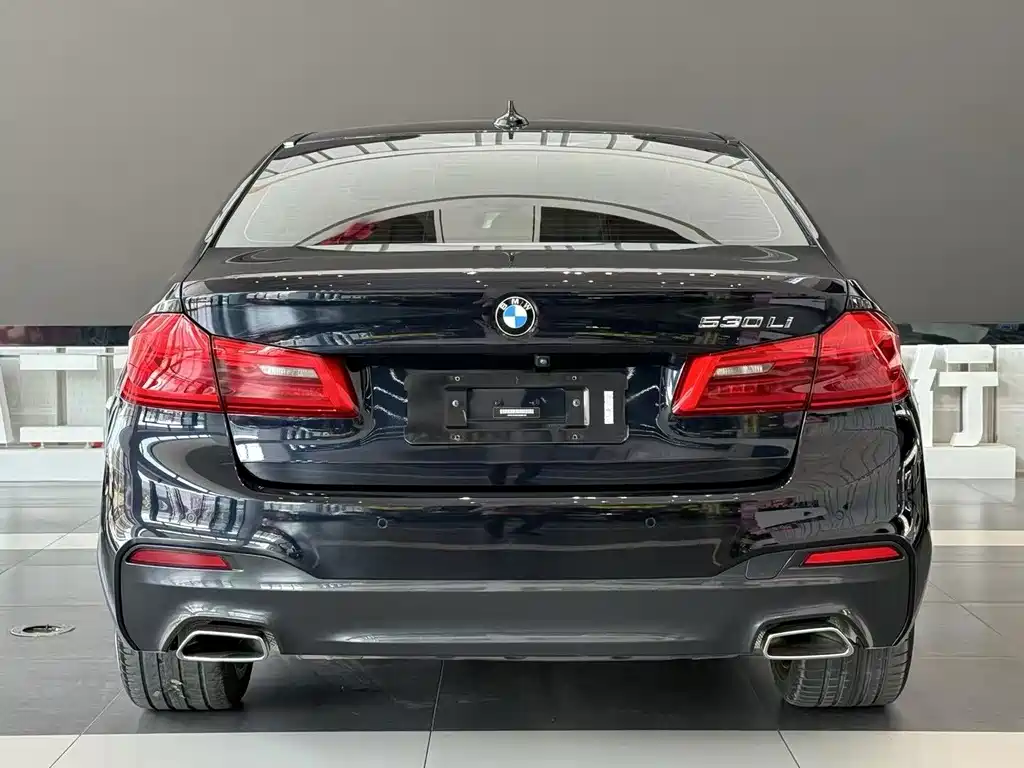 BMW 5 Series — миниатюра 3
