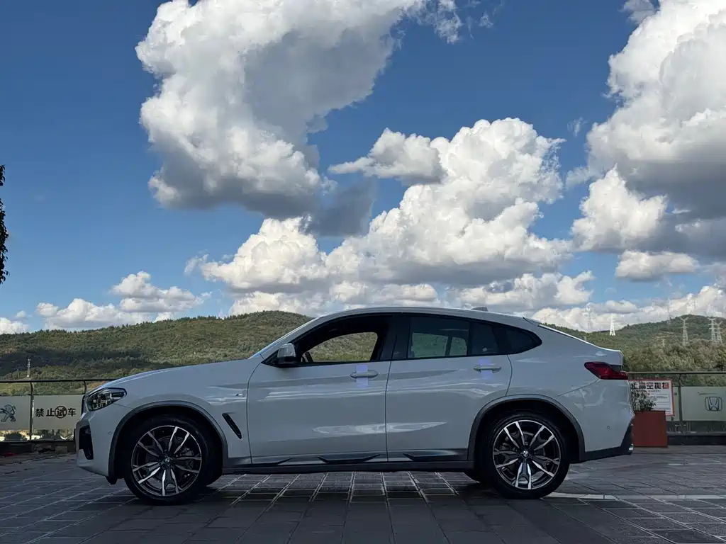 BMW X4 — миниатюра 10