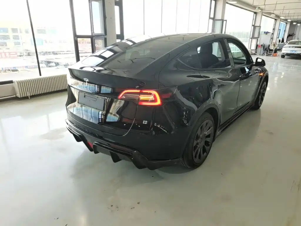 Tesla Model Y — миниатюра 7