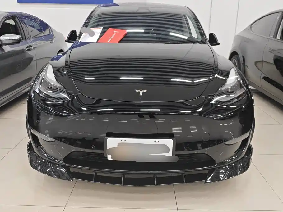 Tesla Model Y — миниатюра 2