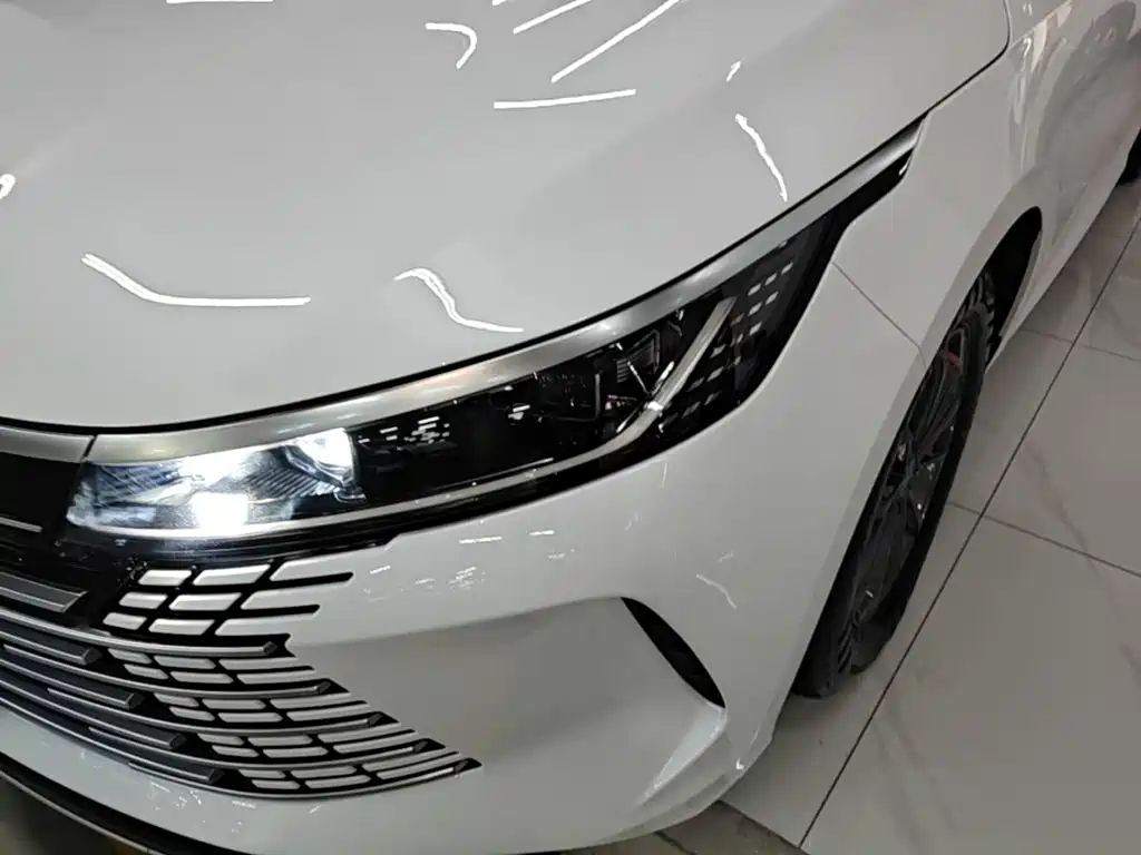 BYD Destroyer 05 — миниатюра 24