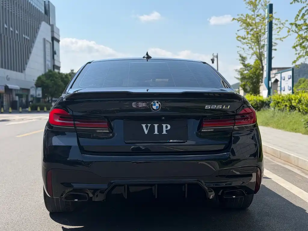 BMW 5 Series — миниатюра 12
