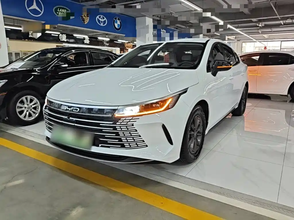 BYD Destroyer 05 — миниатюра 2