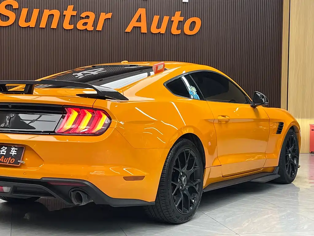 Ford Mustang — миниатюра 19