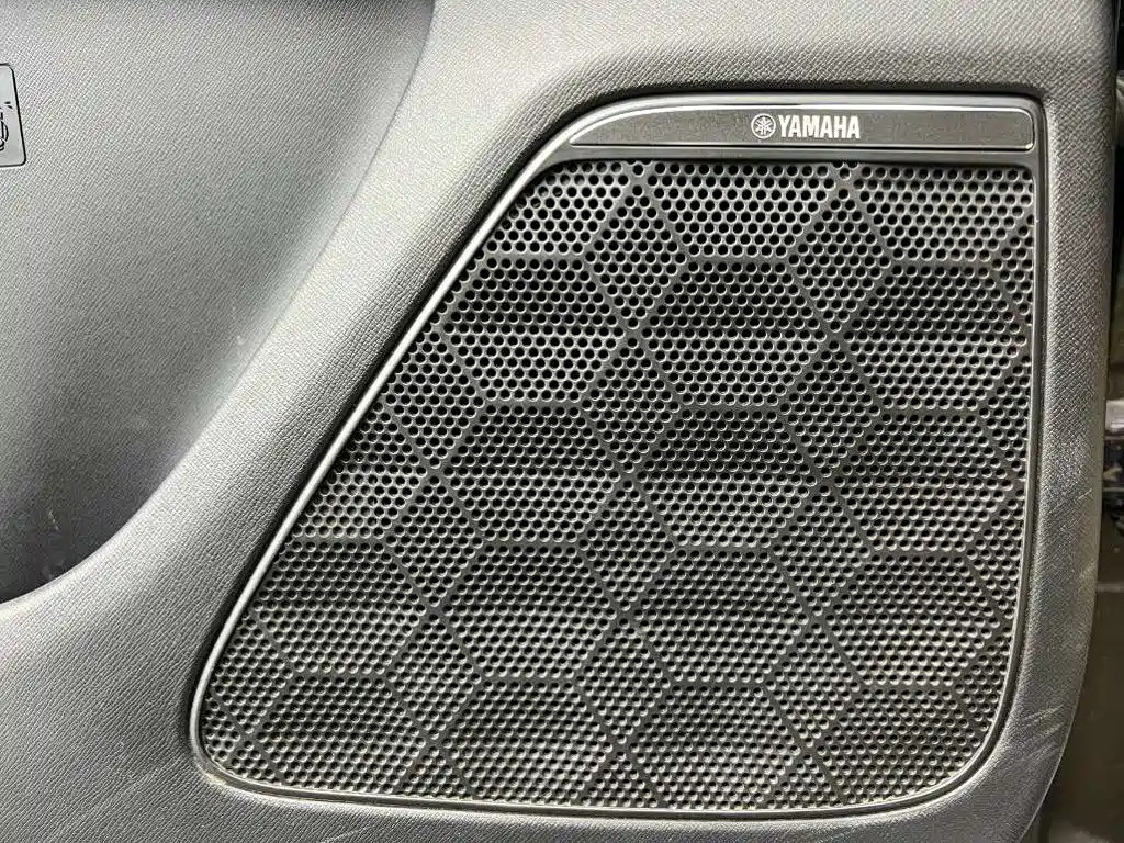 GAC Motor Trumpchi E9 — миниатюра 10