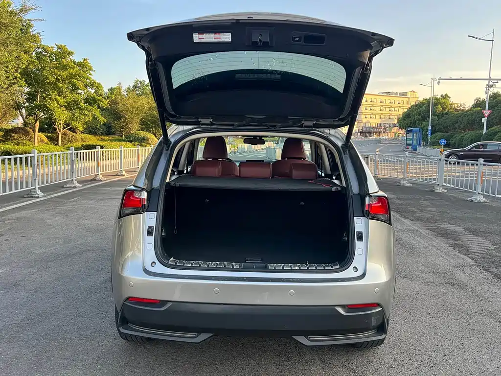 Lexus NX — миниатюра 15