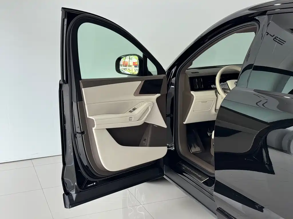 Denza Denza N8L — миниатюра 15