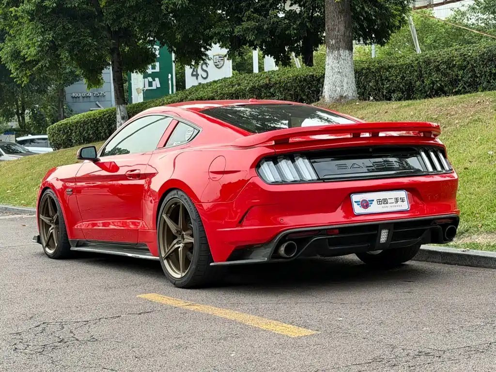 Saleen Mustang 5.0T titanium type, фото 4