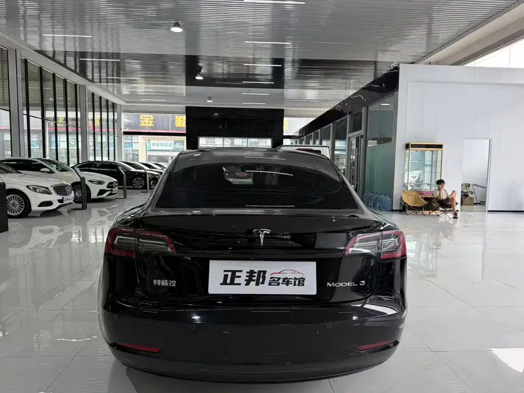 Tesla Model 3 — миниатюра 4