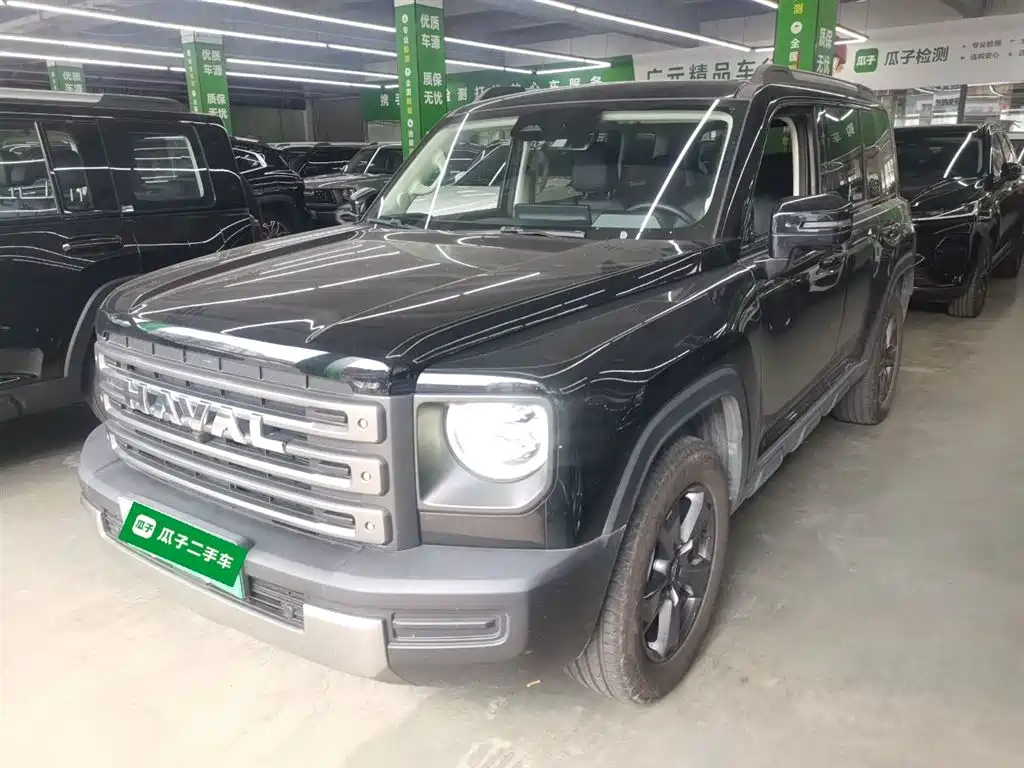 HAVAL  RAPTORS NEW ENERGY