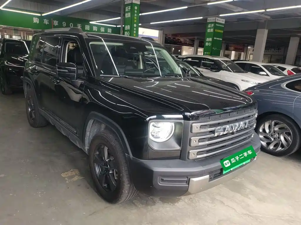 HAVAL  RAPTORS NEW ENERGY