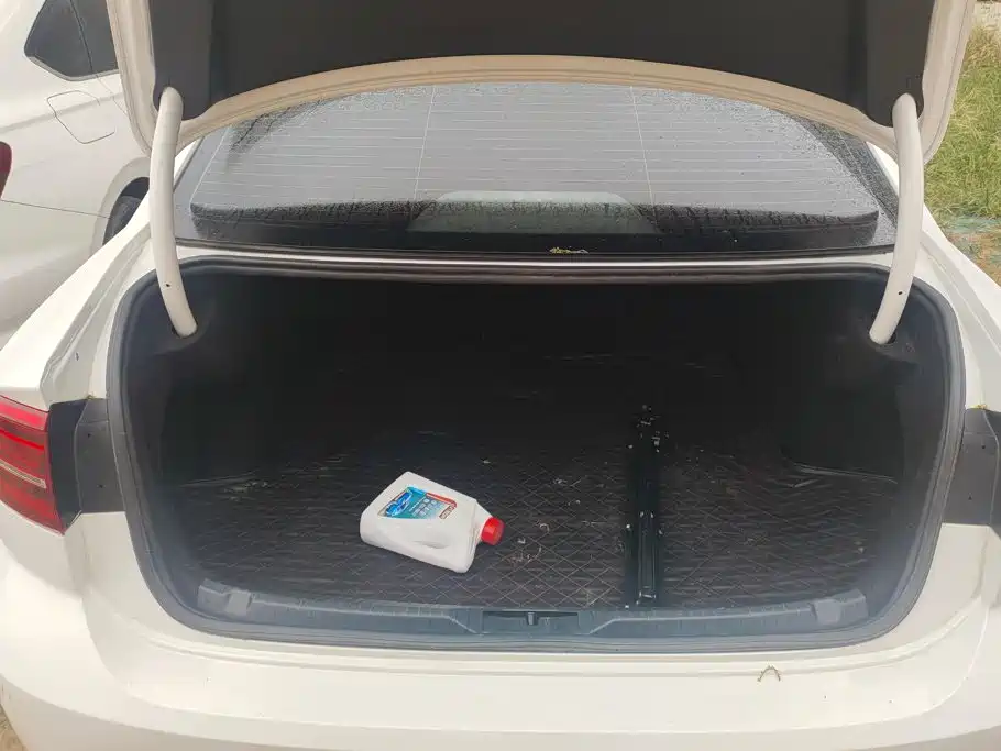 Volkswagen Lamando — миниатюра 4