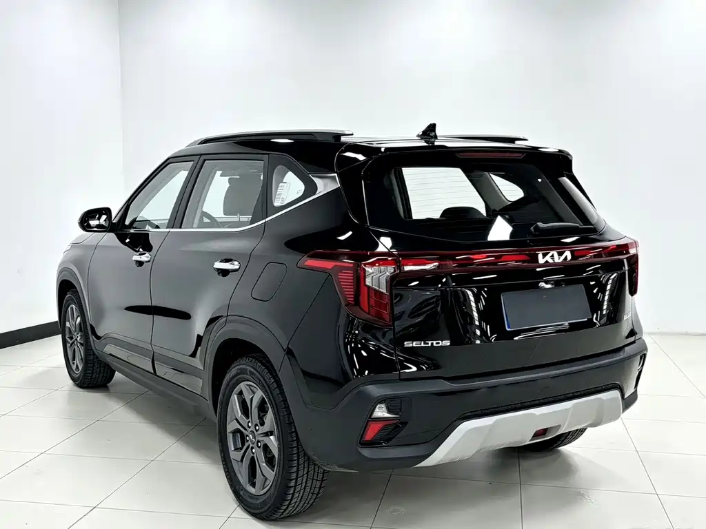 Kia Seltos — миниатюра 6