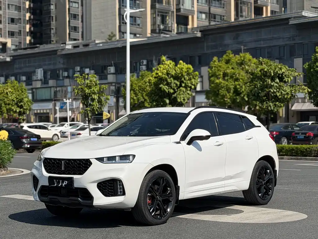 WEI PAI WEI BRAND VV7