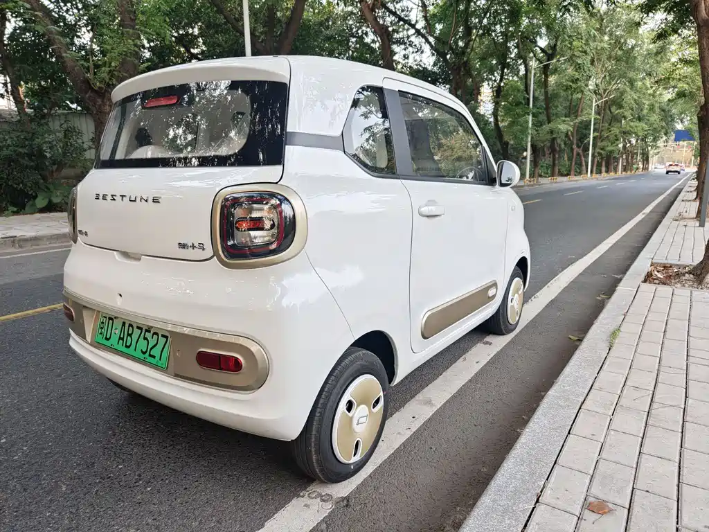 BESTUNE PENTIUM PONY