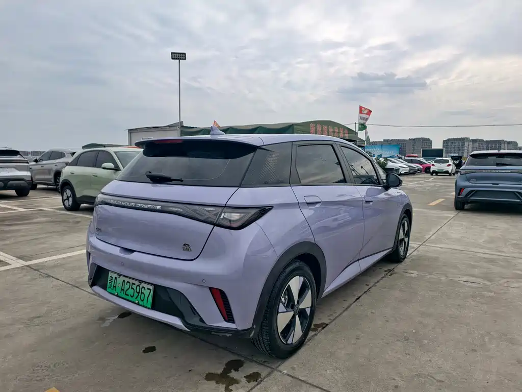 BYD Dolphin — миниатюра 2