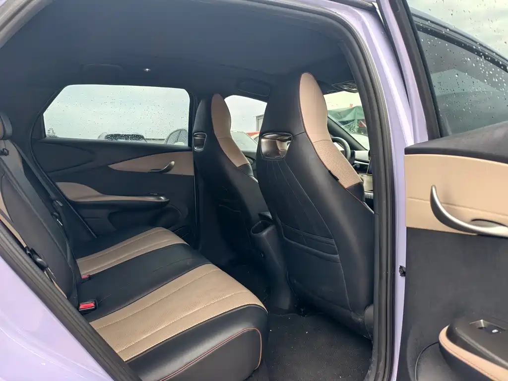 BYD Dolphin — миниатюра 11