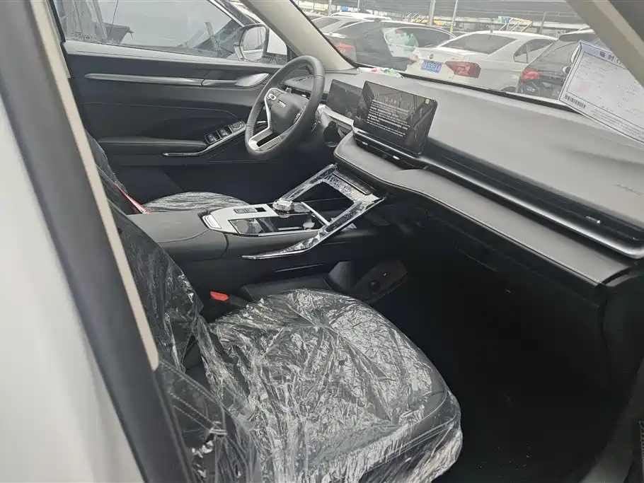 Haval H6 2024 1.5T Pro