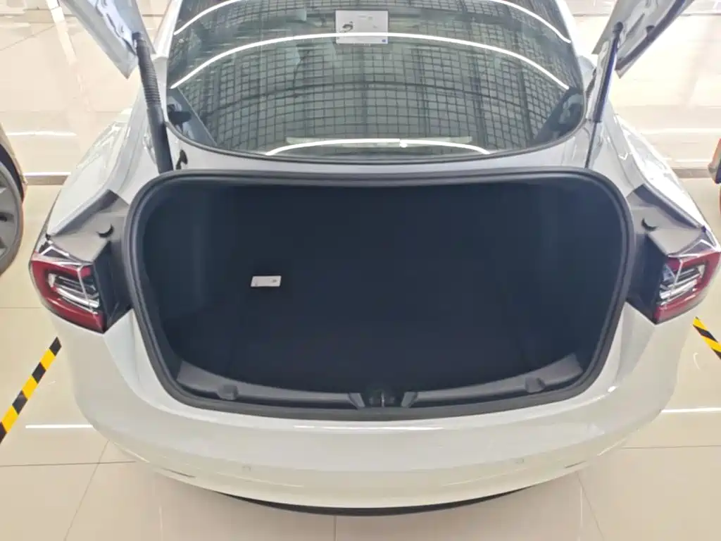 Tesla Model 3 — миниатюра 19
