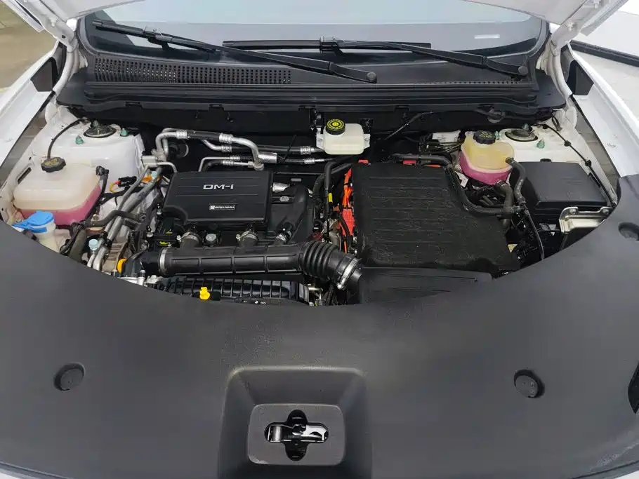BYD Pro New Energy — миниатюра 10