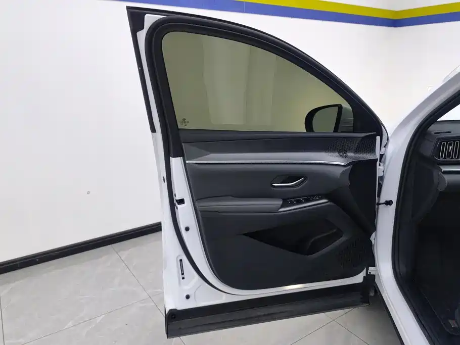 BYD Pro New Energy — миниатюра 7