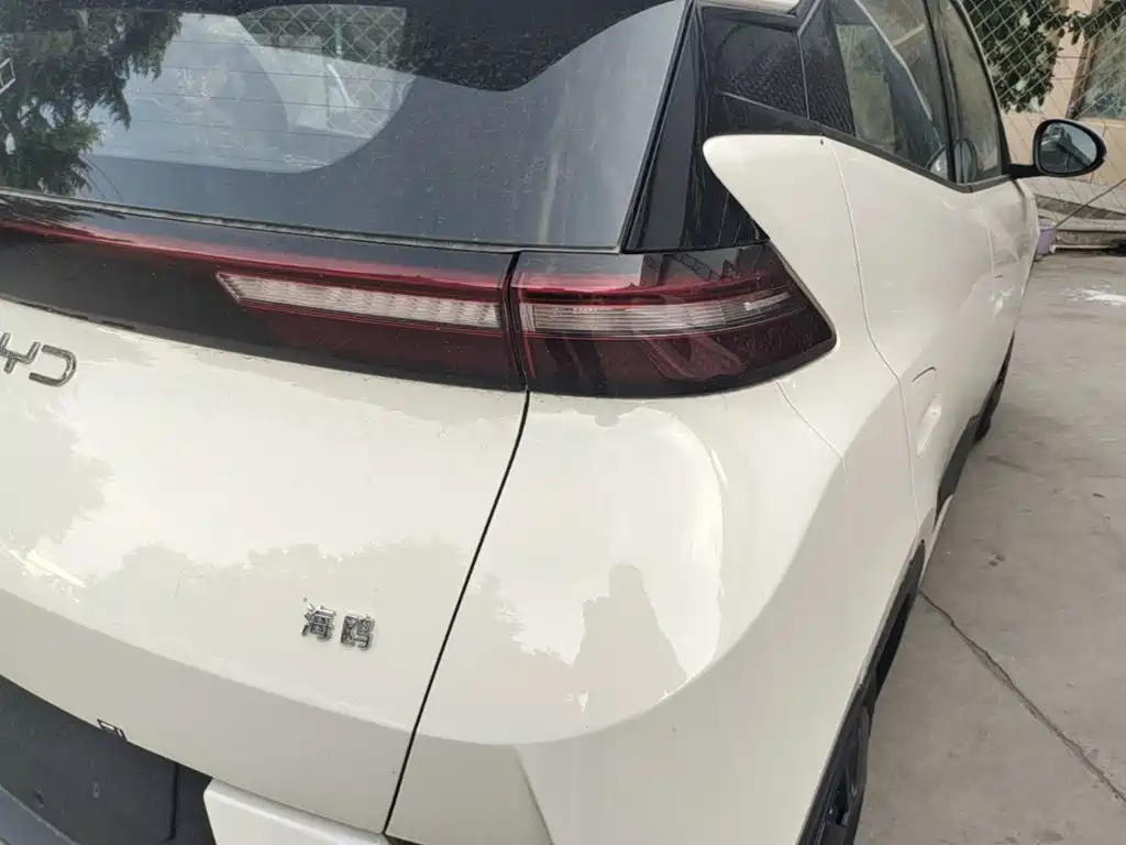 BYD Seagull 2025 Smart Drive 305km