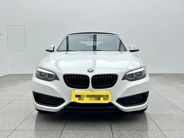 BMW 2 Series Import