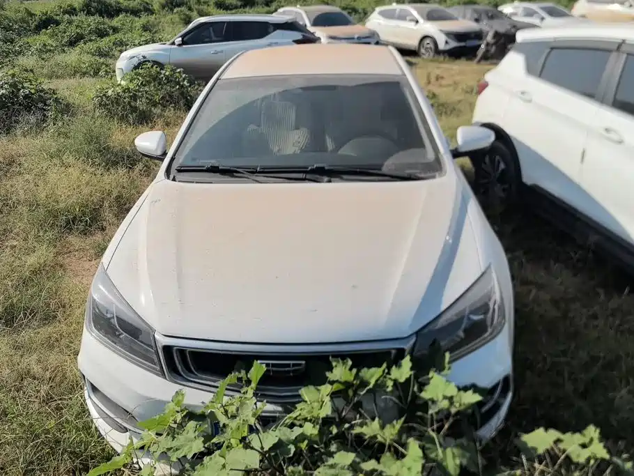 Geely Emgrand — миниатюра 2