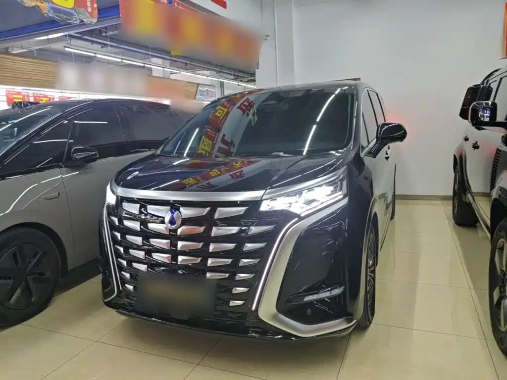 Denza Denza D9 — миниатюра 2