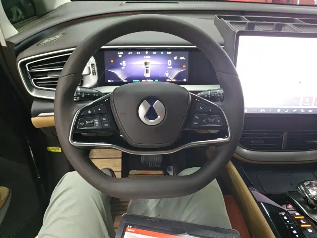 Denza Denza D9 — миниатюра 11