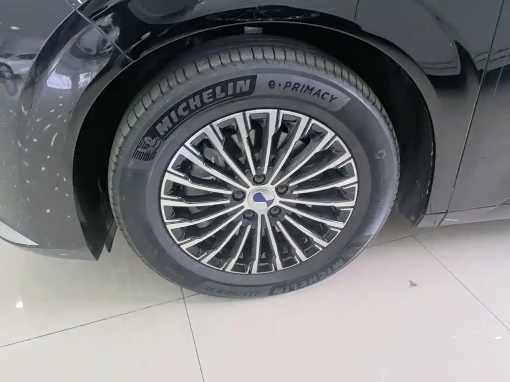 Denza Denza D9 — миниатюра 23