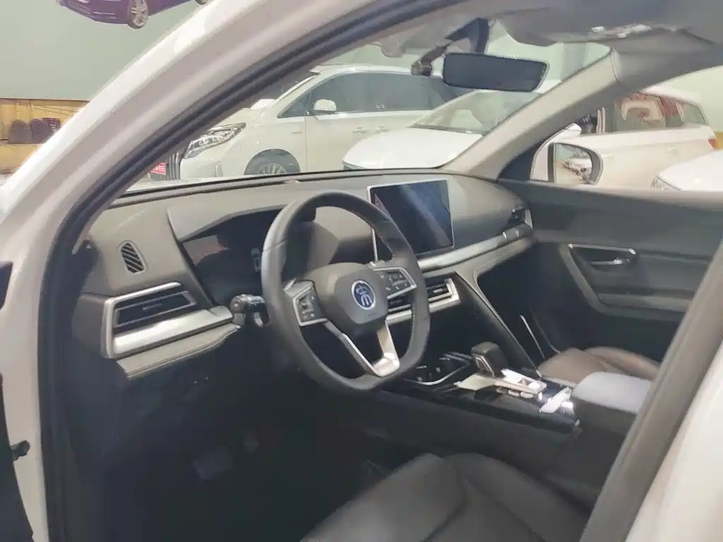 BYD Pro — миниатюра 15